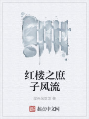 红楼之庶子风流全文百度云