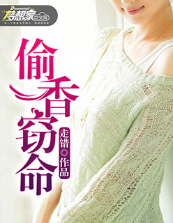 偷香窃玉小说百科