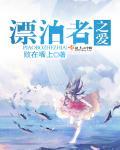 漂泊者 oad 动画片