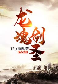 龙魂剑圣全集