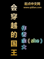 会穿越的国王同类书籍推荐
