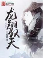 龙翔111