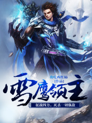 雪鹰领主境界划分