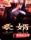 一世豪婿全部