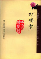 红楼梦白话本txt百度网盘